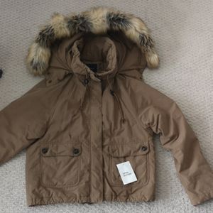 Winter Jacket